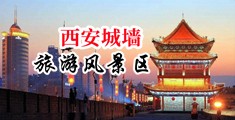 尻插女人的逼视频中国陕西-西安城墙旅游风景区